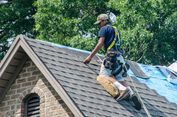 Gutter Installation and Roofing in Shoal Creek, AL